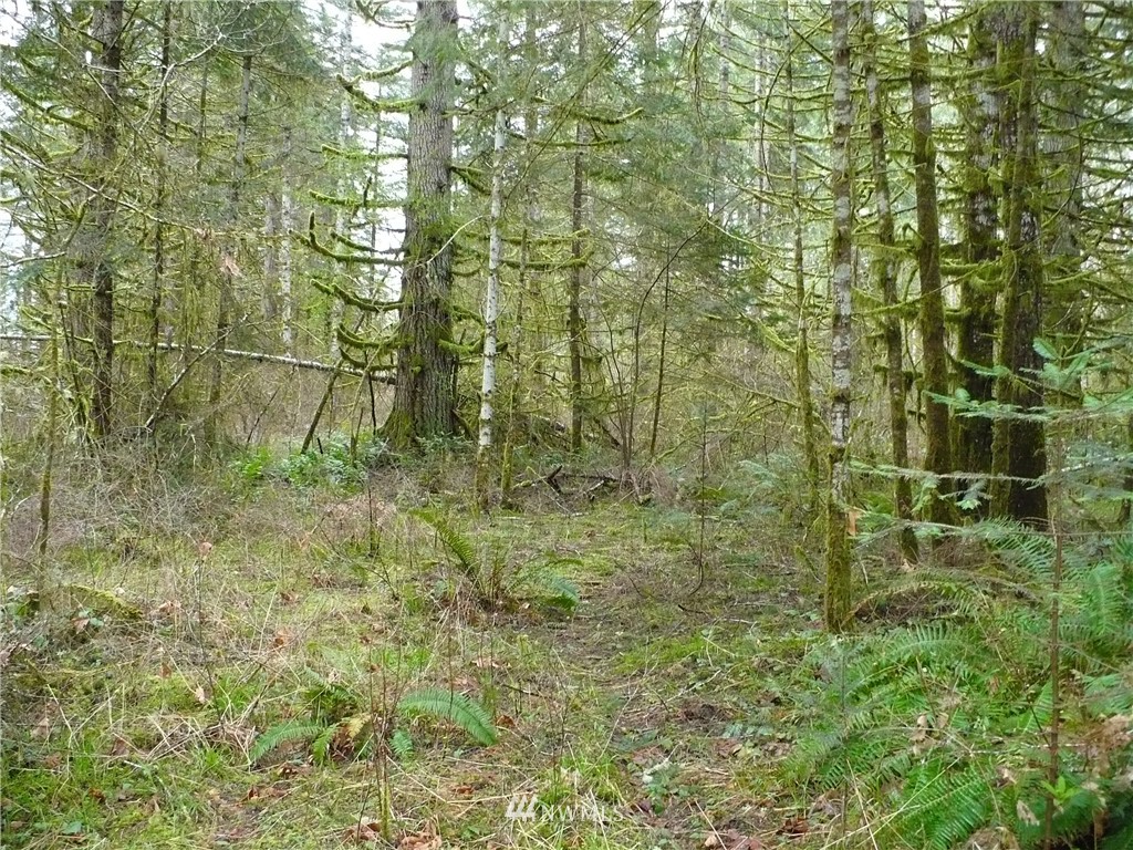 0 Manners Road Rochester, WA 98579 - Photo 18 of 20