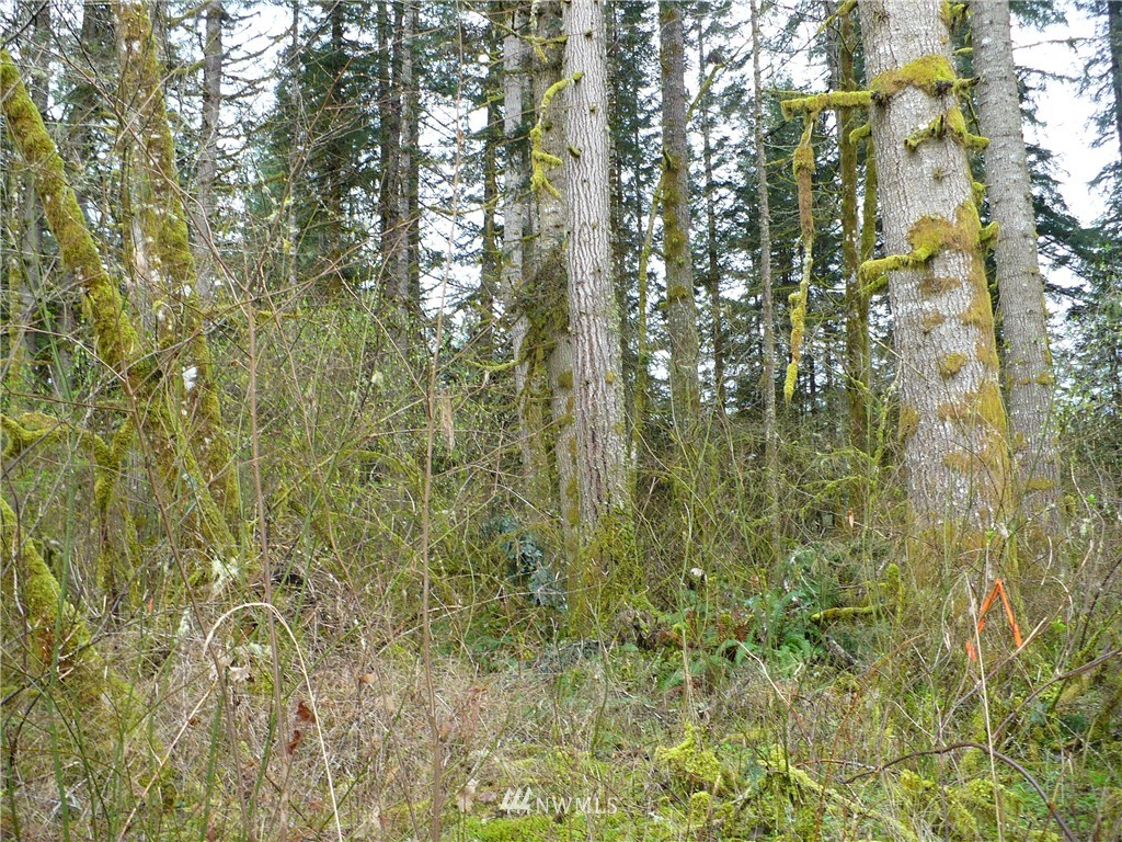 0 Manners Road Rochester, WA 98579 - Photo 20 of 20