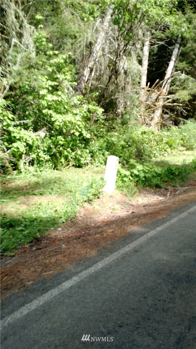 0 Manners Road Rochester, WA 98579 - Photo 7 of 20