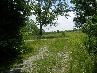 56 Liberty Ridge Road Falmouth, KY 41040 - Photo 11 of 11 Gallery Image 11