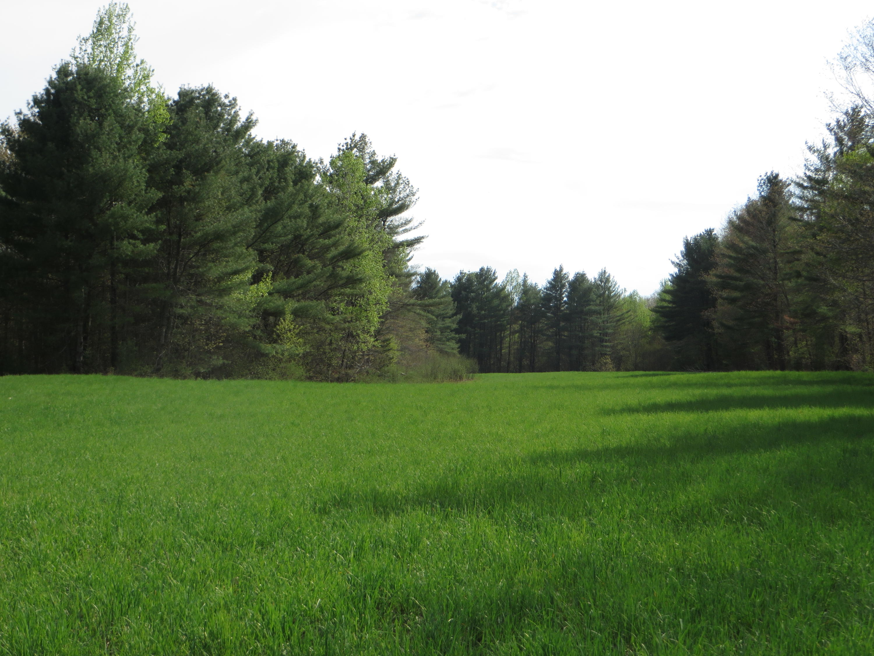 768 Winding Hill Road Norridgewock, ME 04957 - Photo 3 of 10 3