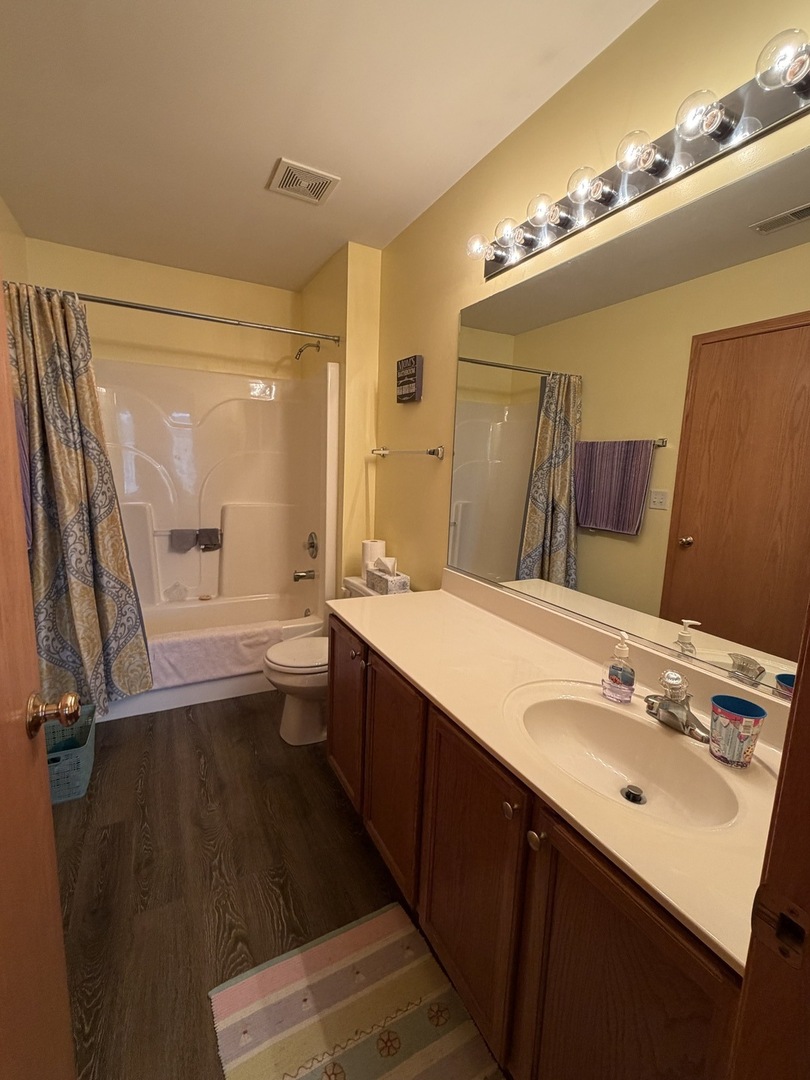 641 Chestnut Ridge Minooka, IL 60447 - Photo 11 of 26