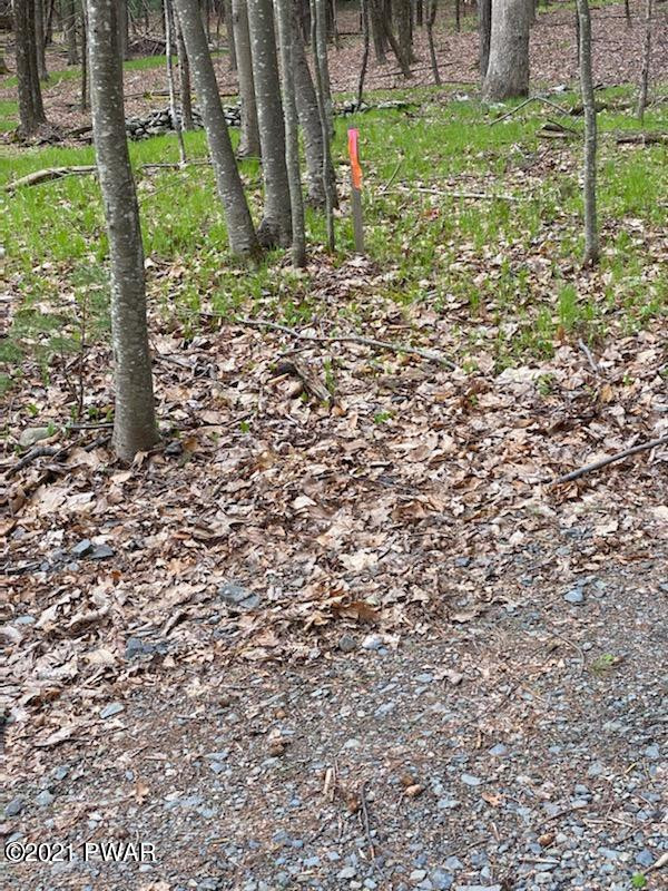 4-5 Park Road Dingmans Ferry, PA 18328 - Photo 13 of 13