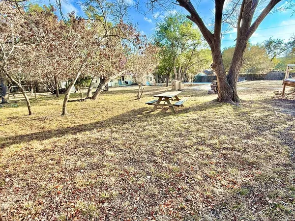 a view of a yard with plants and trees