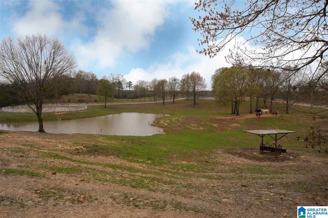 501 4 Wing Lake Road Alabaster, AL 35007 - Photo 10 of 50