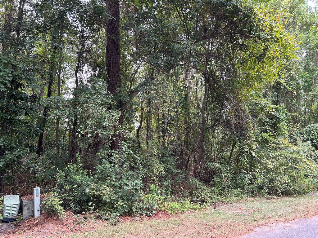 Tbd Tbd Tbd Manning, SC 29102 - Photo 3 of 4 Gallery Image 3
