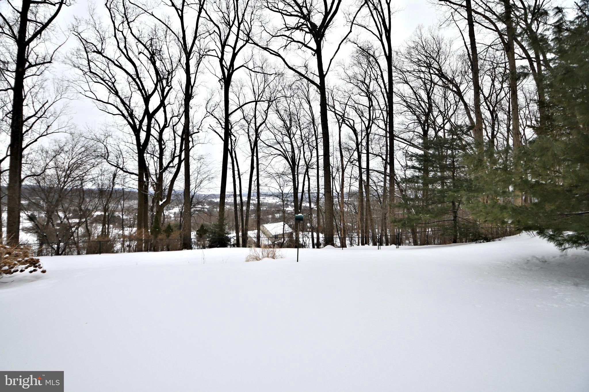46 Spring Road Boyertown, PA 19512 - Photo 29 of 30 Gallery Image 29