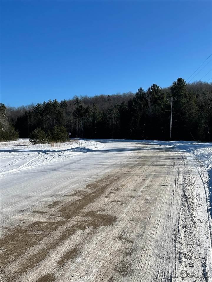 Lot 134 Twin Peakes Road Frederic, MI 49733 - Photo 3 of 5 50064106-2.JPG