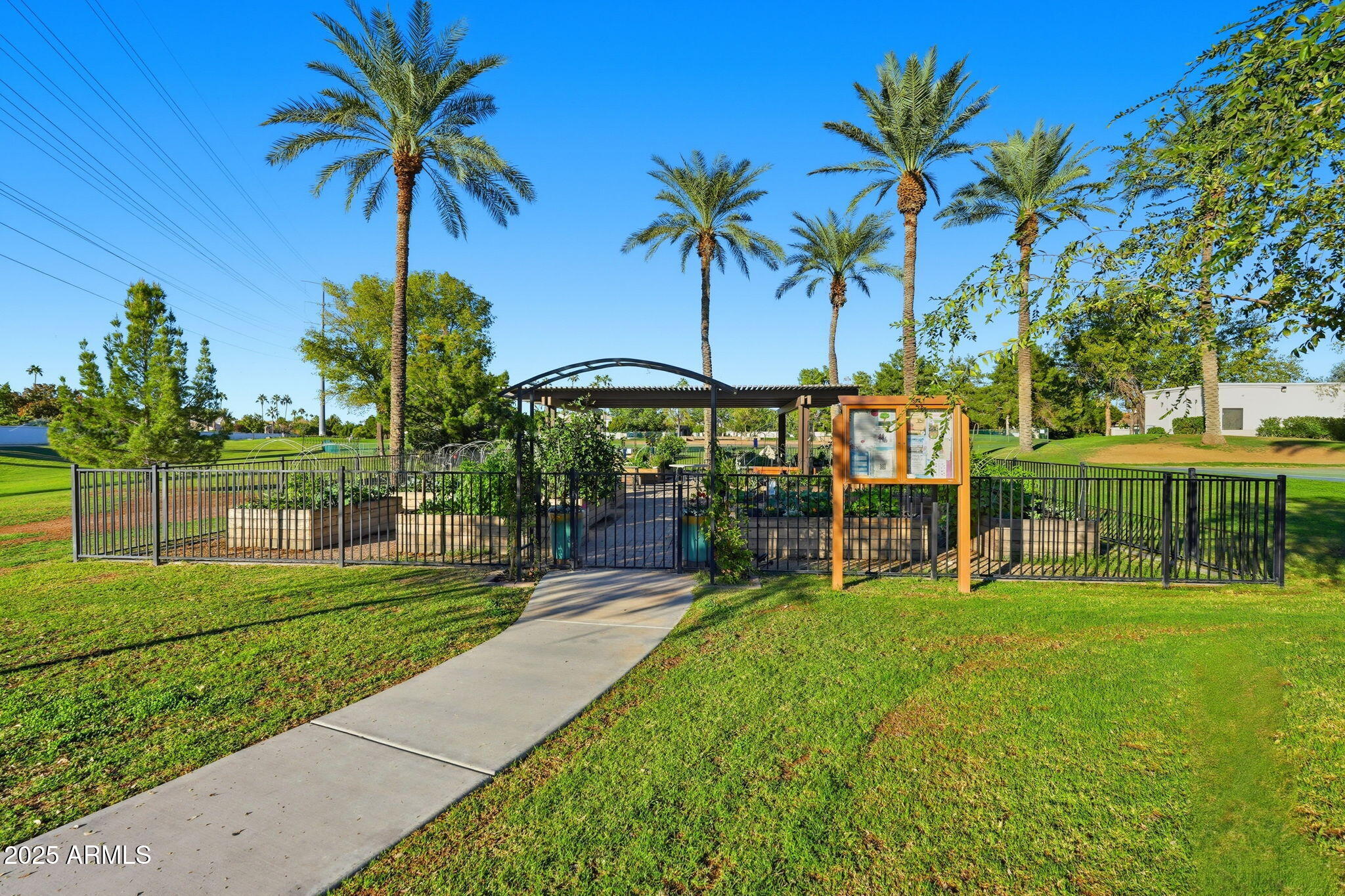 2011 East Clipper Lane Gilbert, AZ 85234 - Photo 46 of 51 a view of a yard with a table and chairs under an umbrella