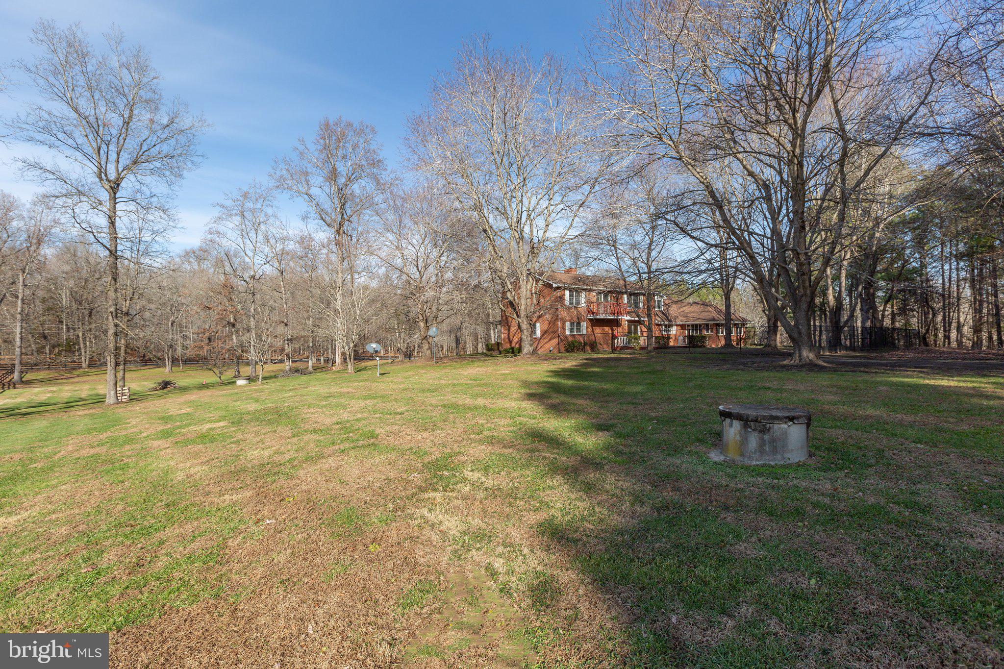 4525 Dickerson Road Partlow, VA 22534 - Photo 13 of 104 Another beautiful view of the farm.