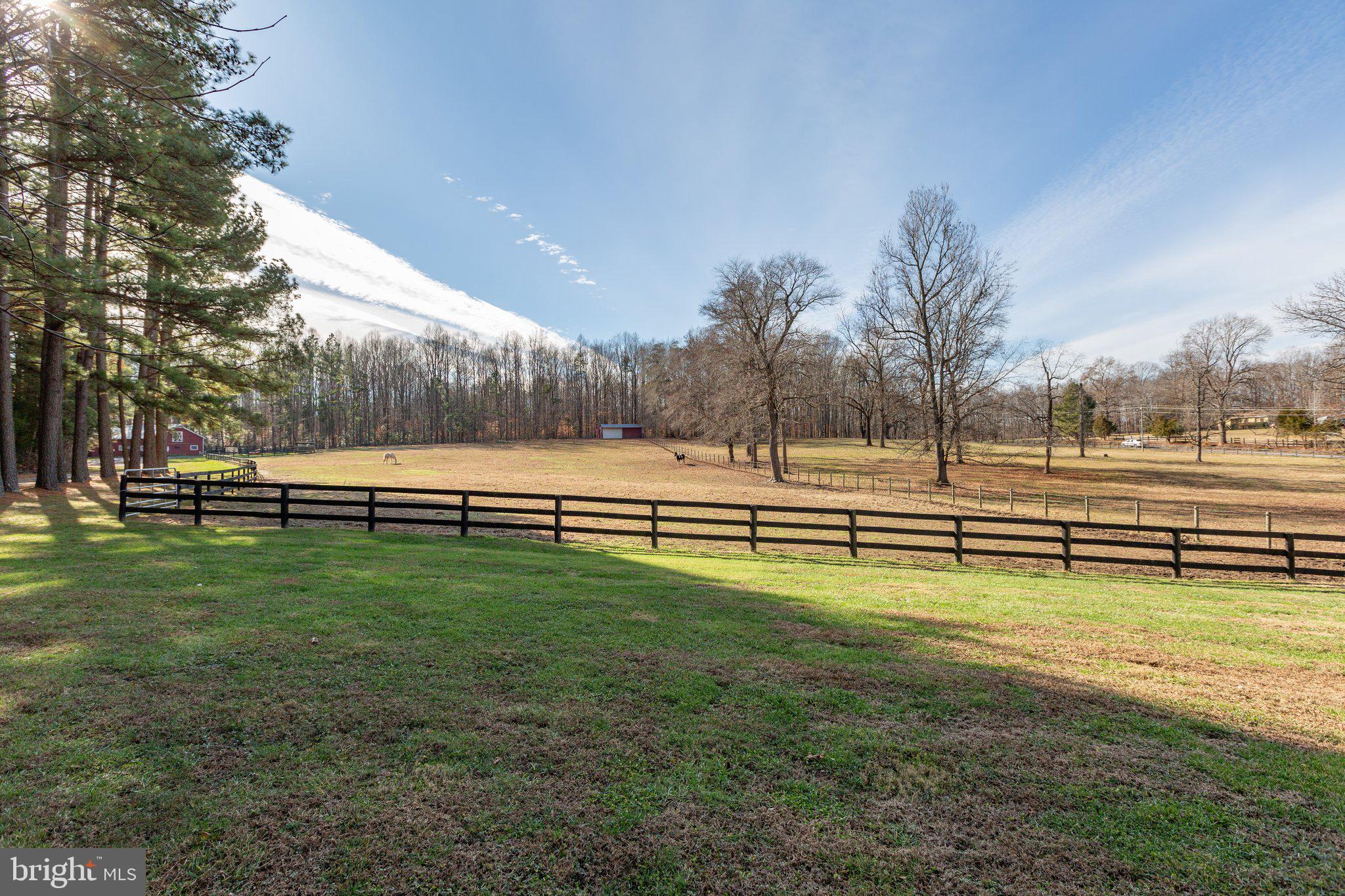 4525 Dickerson Road Partlow, VA 22534 - Photo 14 of 104 Beautiful rural view-2 fenced off areas f/horses.