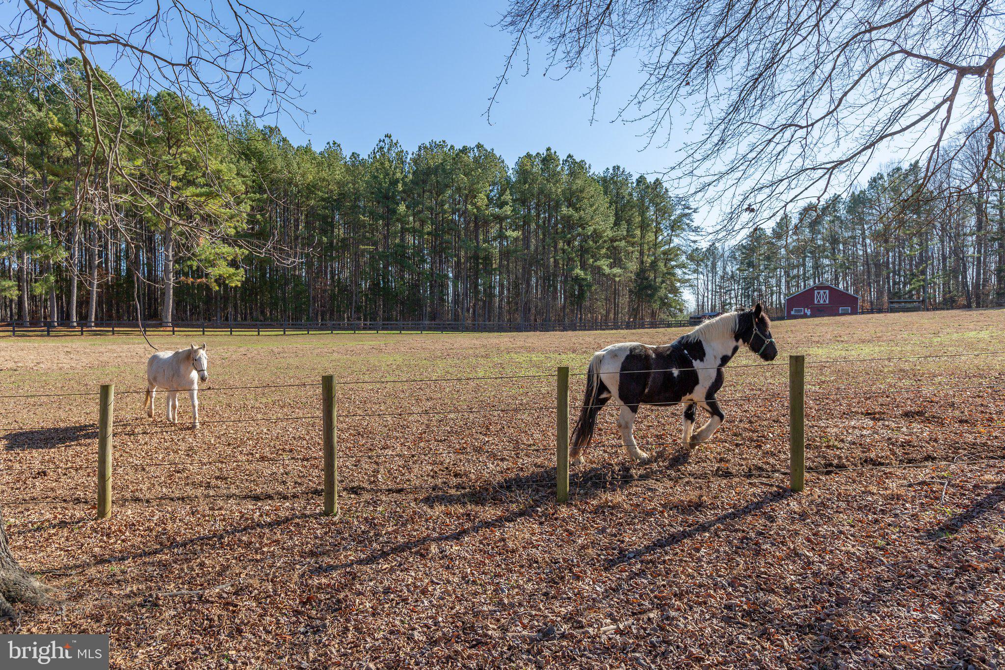 4525 Dickerson Road Partlow, VA 22534 - Photo 86 of 104