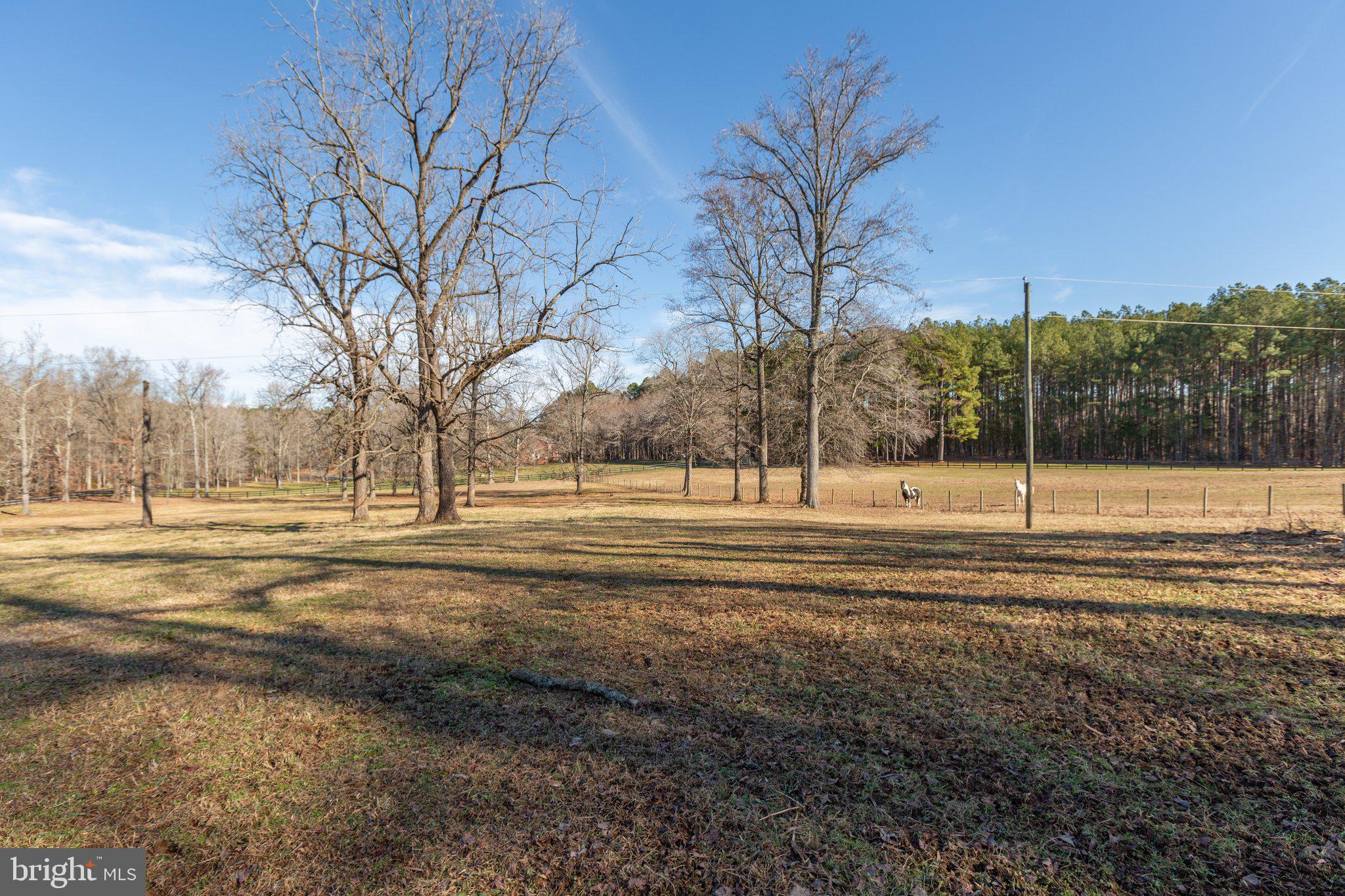 4525 Dickerson Road Partlow, VA 22534 - Photo 87 of 104
