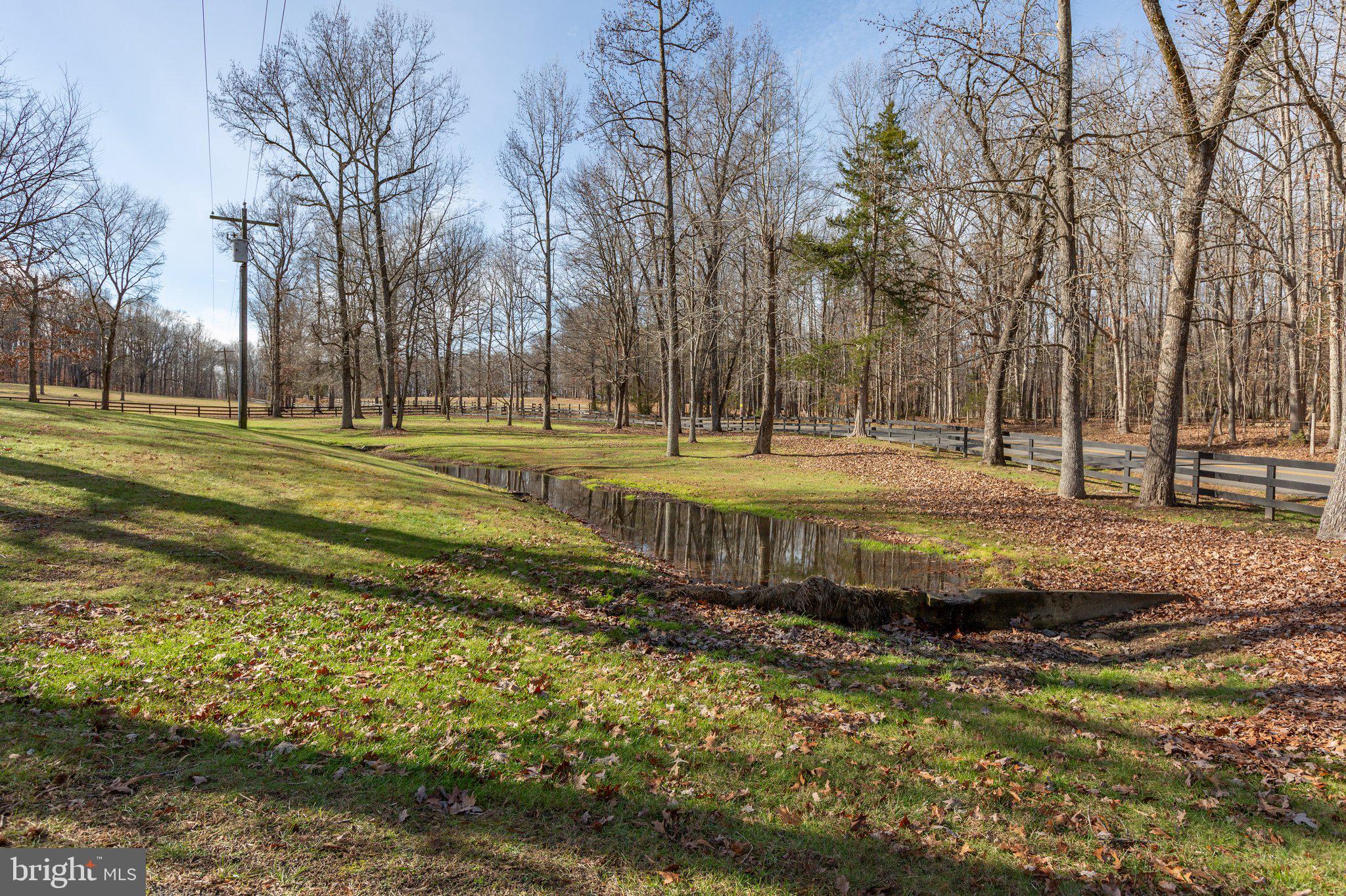 4525 Dickerson Road Partlow, VA 22534 - Photo 9 of 104 Front of the property with creek.
