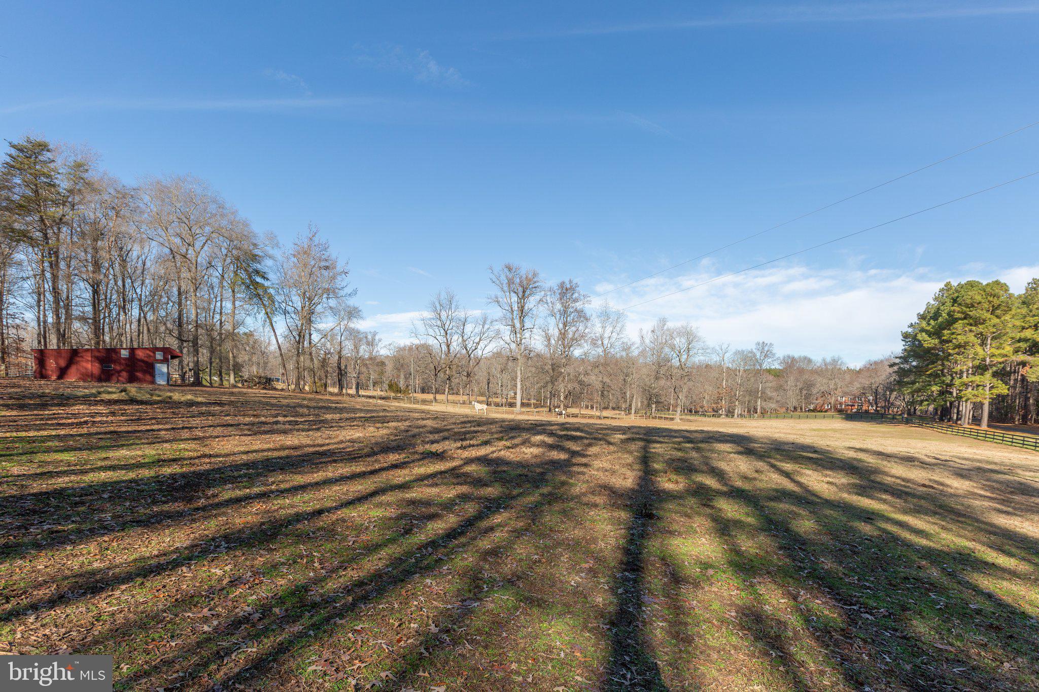 4525 Dickerson Road Partlow, VA 22534 - Photo 94 of 104