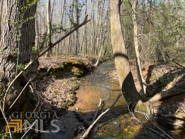 0 Attaway Road, Unit 15 ACRES Roopville, GA 30170 - Photo 1 of 1