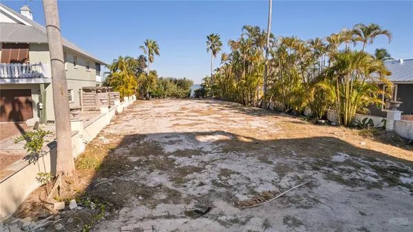 a view of a yard with trees