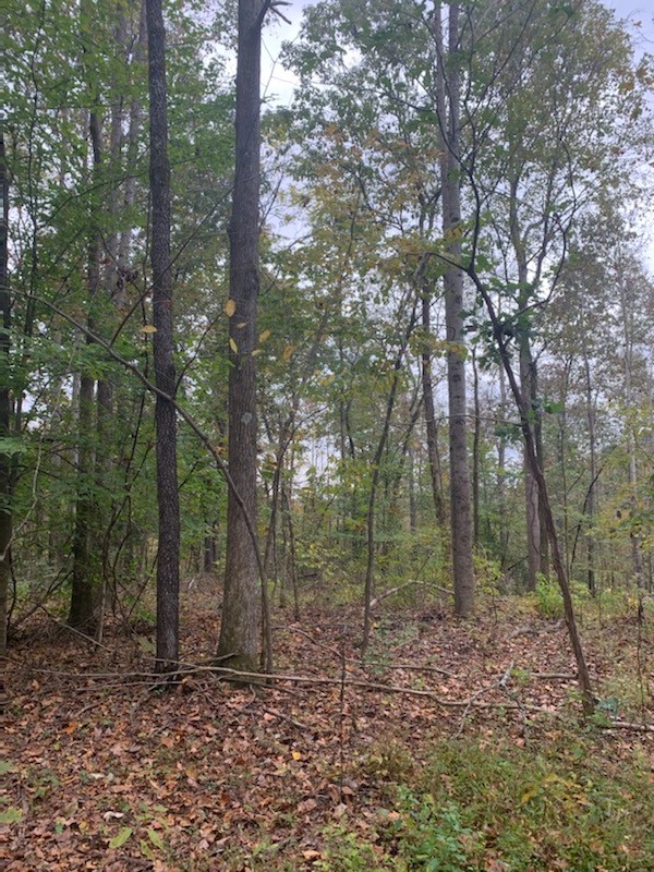 160 Blooming Grove Road Pulaski, TN 38478 - Photo 13 of 28