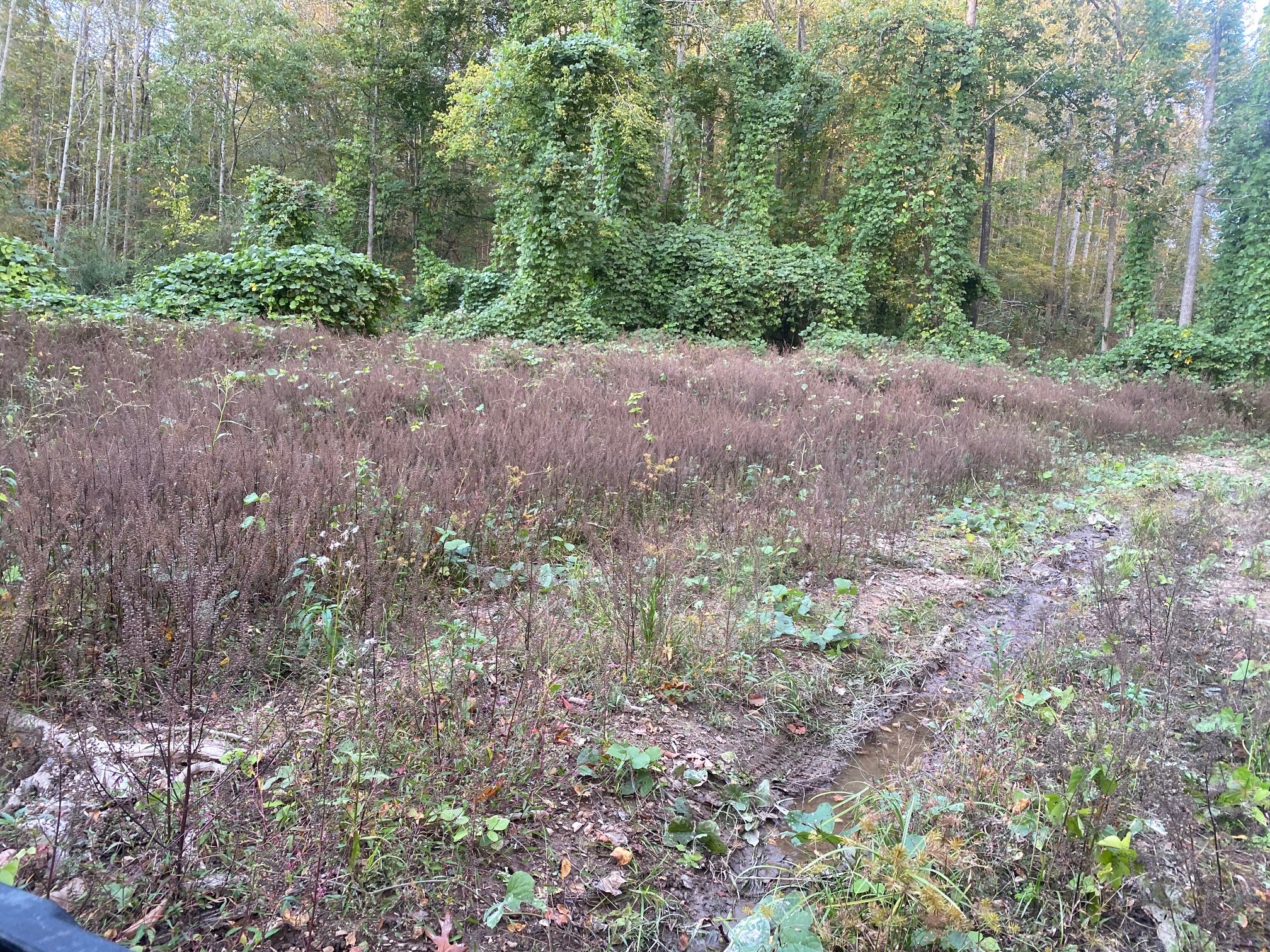160 Blooming Grove Road Pulaski, TN 38478 - Photo 26 of 28