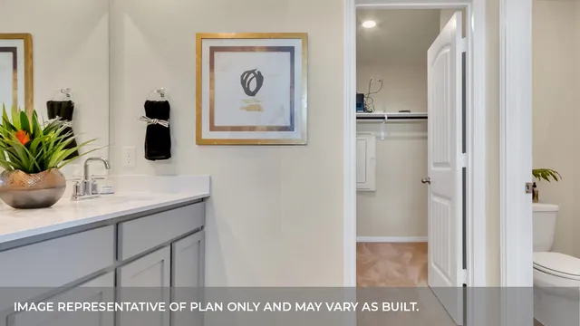 a view of bathroom with a potted plant on the counter and sink