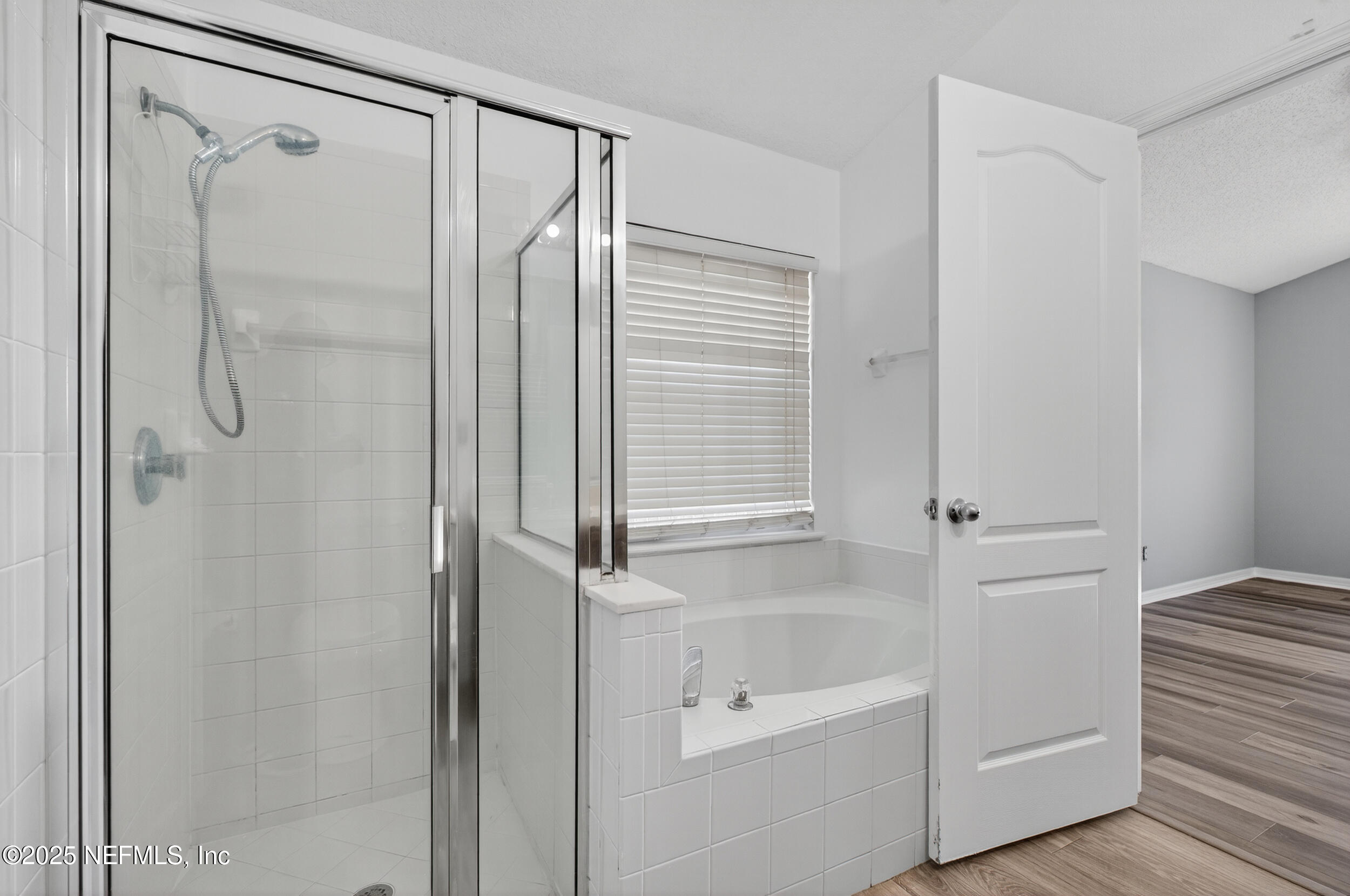 10174 Rising Mist Lane Jacksonville, FL 32221 - Photo 26 of 31 a bathroom with a shower and a tub