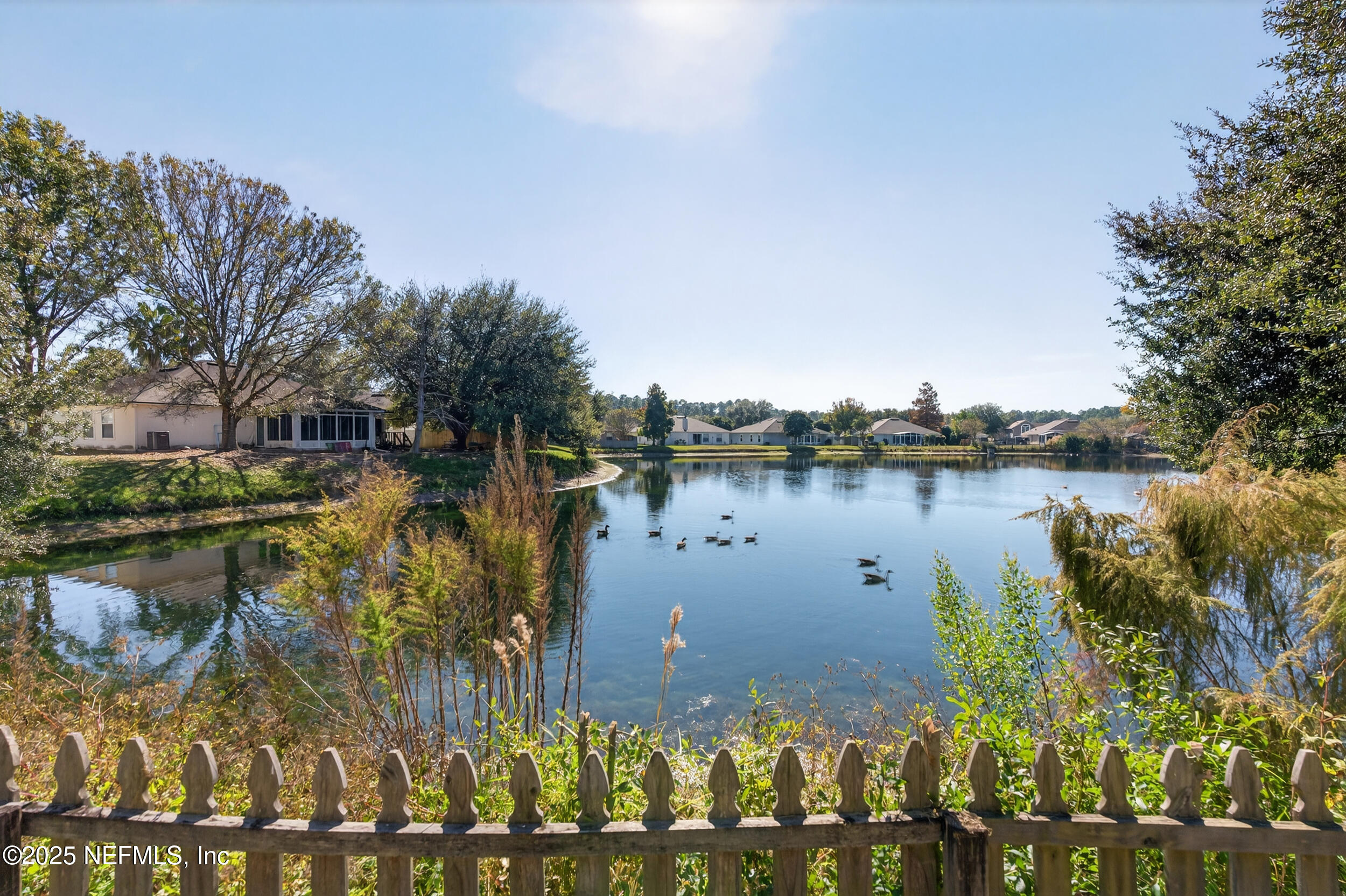 10174 Rising Mist Lane Jacksonville, FL 32221 - Photo 3 of 31 a view of a lake with houses