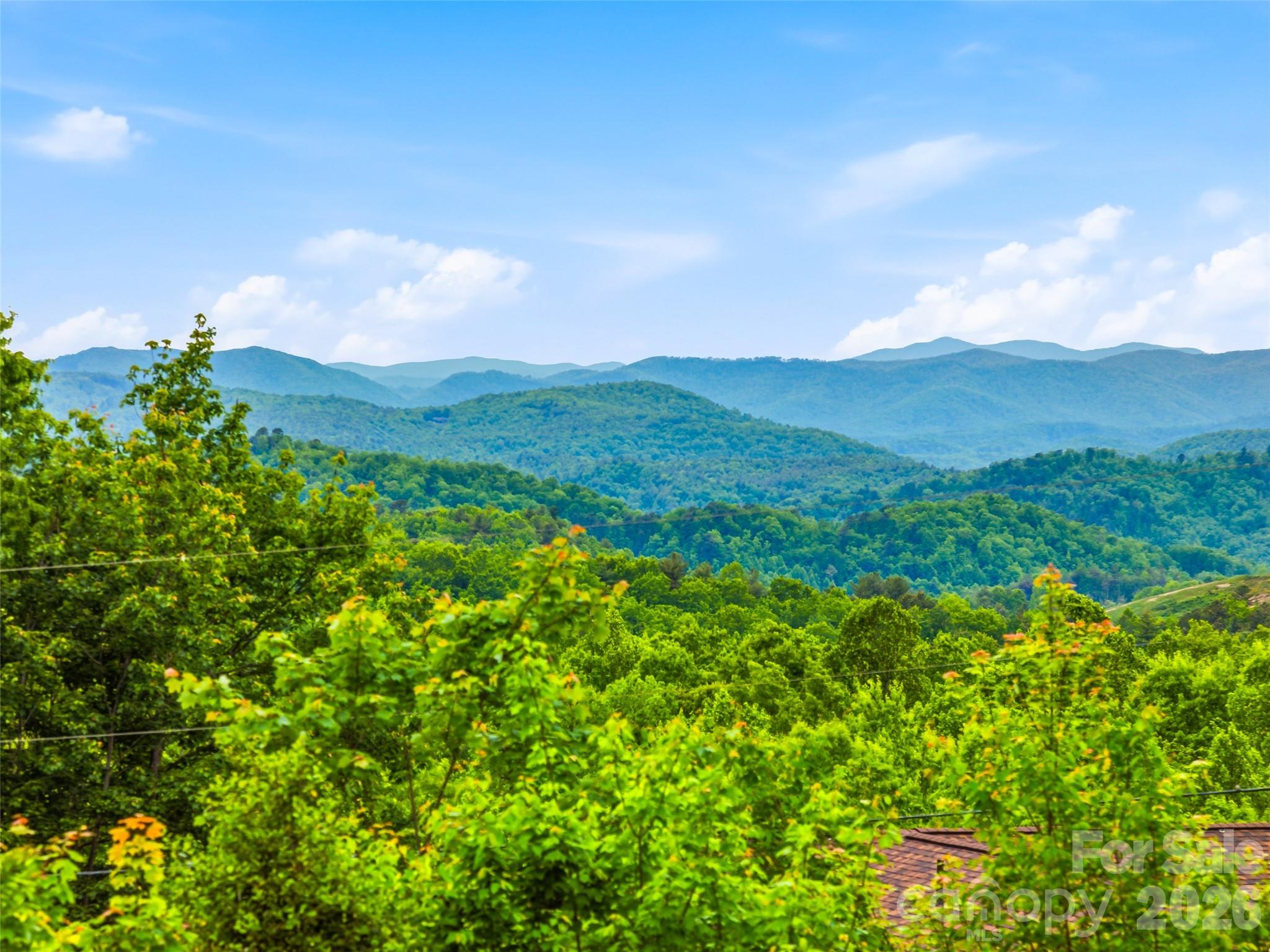 29 Panther Ridge Road Brevard, NC 28712 - Photo 5 of 48