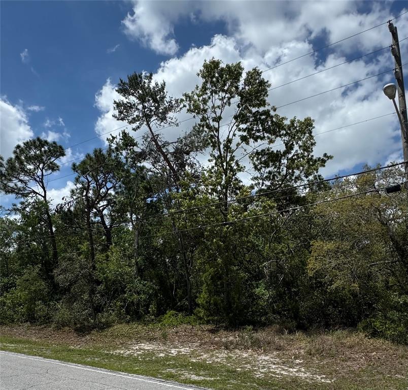2185 Waterfall Drive Spring Hill, FL 34608 - Photo 3 of 7 a view of a house with a yard