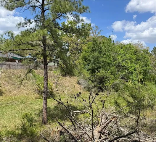 a view of a tree with a yard