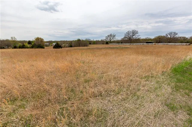 $82,550 | 4 Northwest 176 Road, Osceola, MO 64776