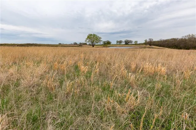 $82,550 | 4 Northwest 176 Road, Osceola, MO 64776