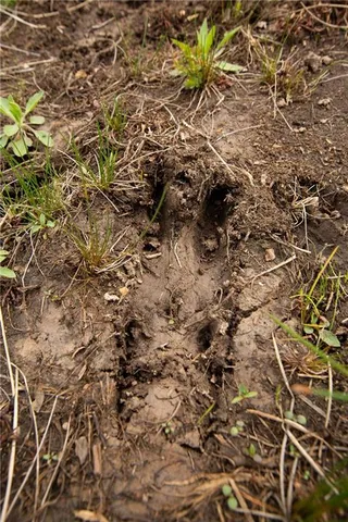 $82,550 | 4 Northwest 176 Road, Osceola, MO 64776