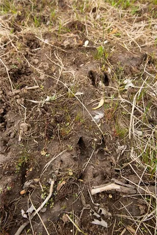 $82,550 | 4 Northwest 176 Road, Osceola, MO 64776