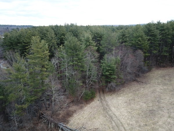 11 Powhatan Road Pepperell, MA 01463 - Photo 7 of 21 Gallery Image 7