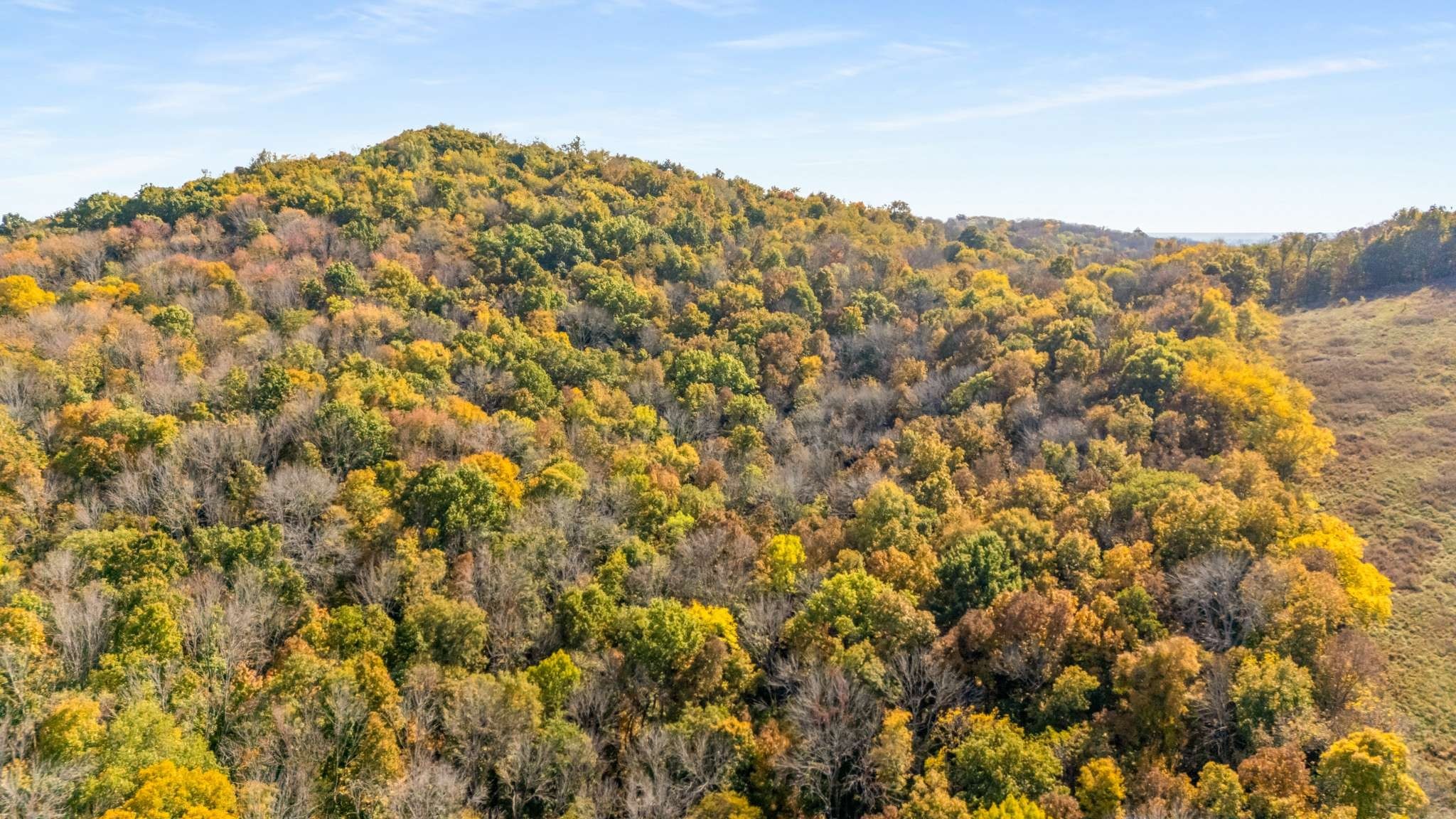 2840 Thomas Road Nolensville, TN 37135 - Photo 44 of 49 a view of a large tree