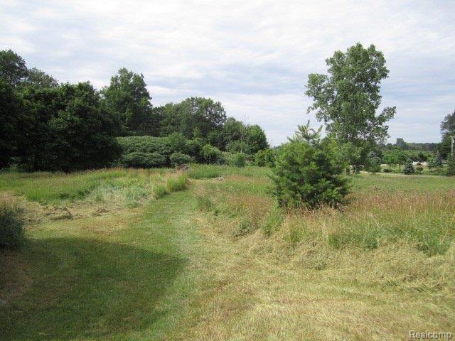 5445 37 Mile Road Romeo, MI 48065 - Photo 12 of 23 5445 37 Mile Road - Vacant Land1