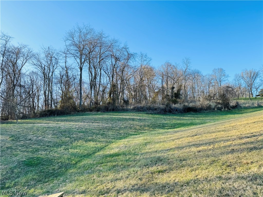 337 Short Brook Road Vincent, OH 45784 - Photo 6 of 50 DO YOU LOVE THE OUTDOORS? LOOK AT THIS!!