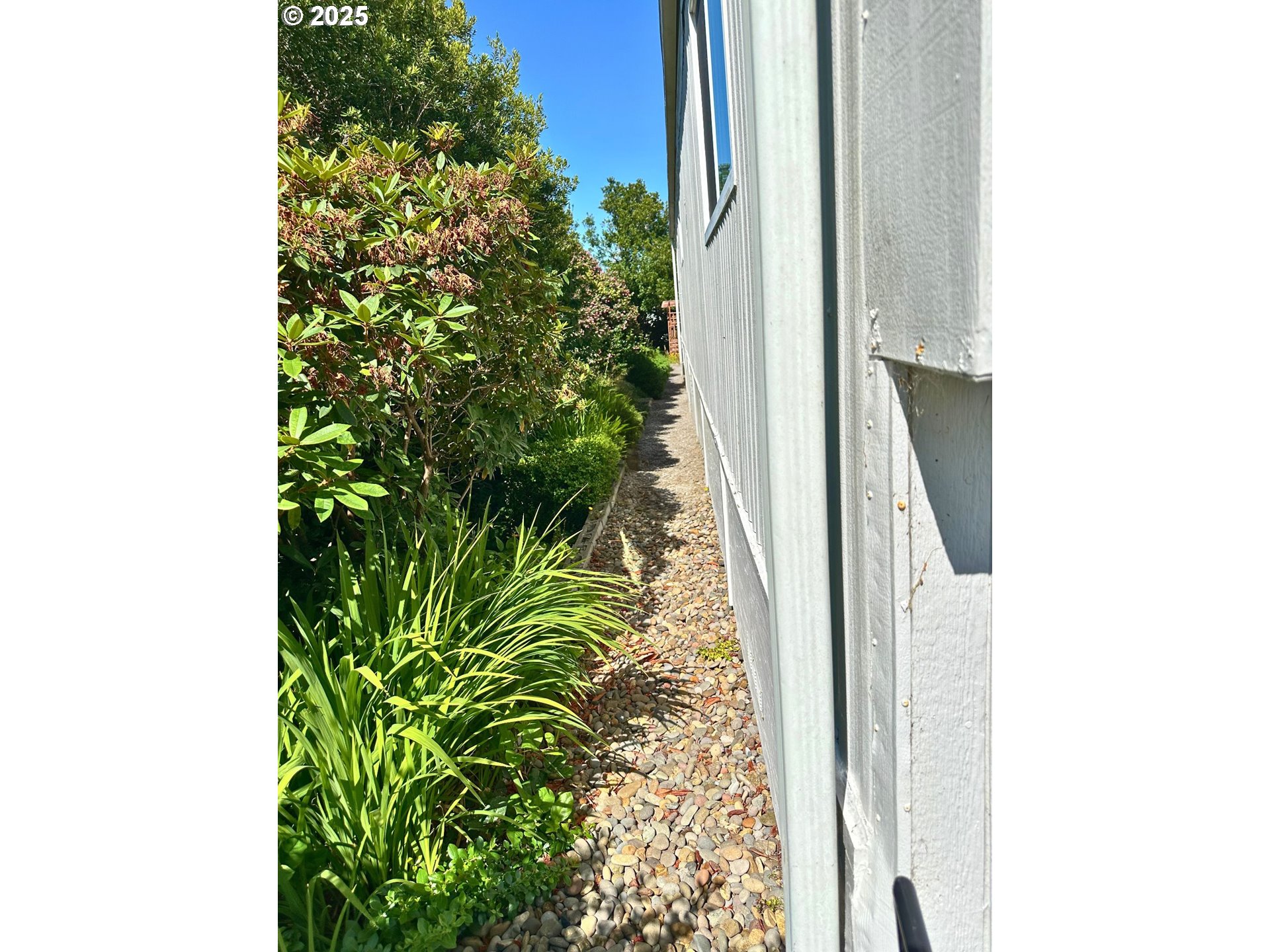 1600 Rhododendron Drive, Unit 218 Florence, OR 97439 - Photo 34 of 40 a close up of a plant in a pot