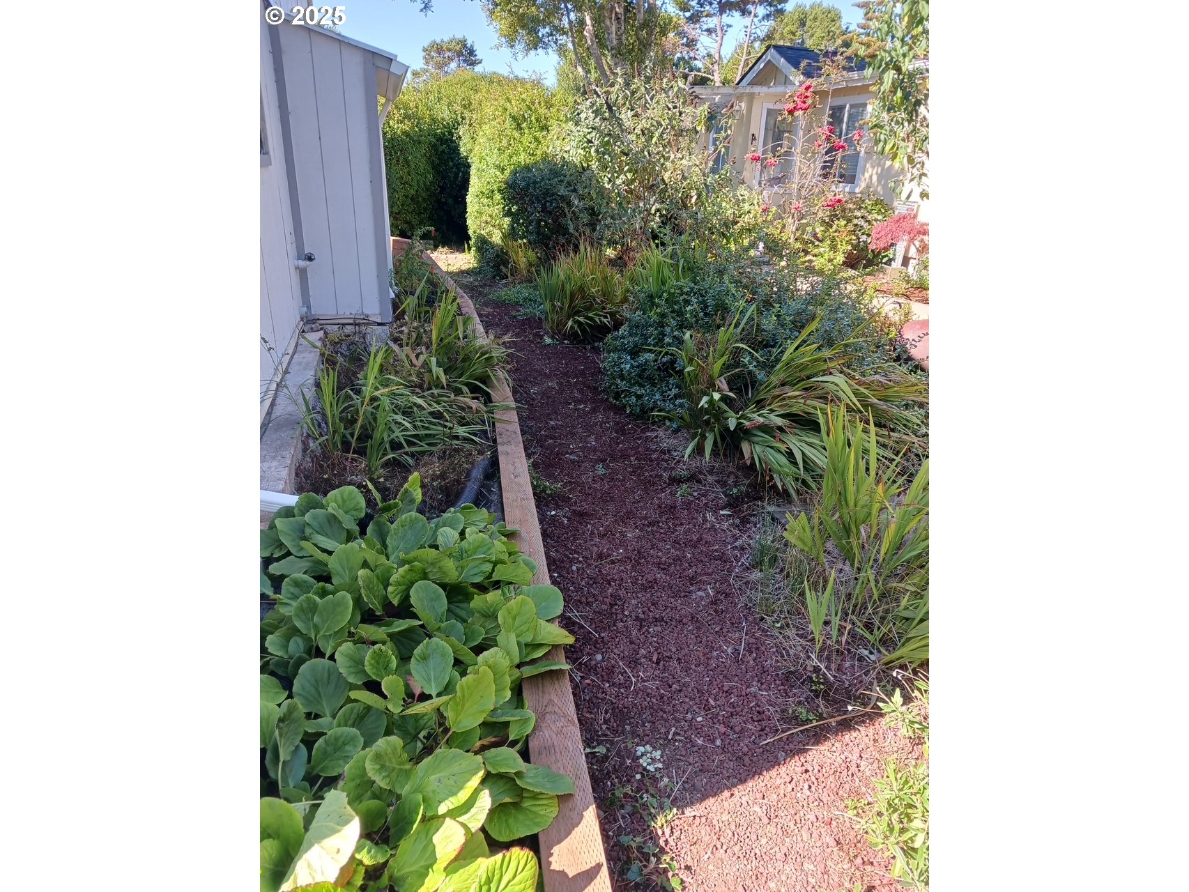 1600 Rhododendron Drive, Unit 218 Florence, OR 97439 - Photo 39 of 40 a backyard with potted plants