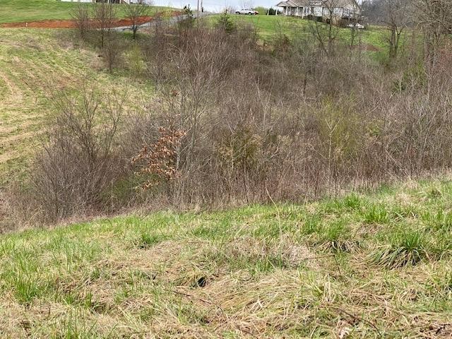 5 Farm Road Newport, TN 37821 - Photo 12 of 15