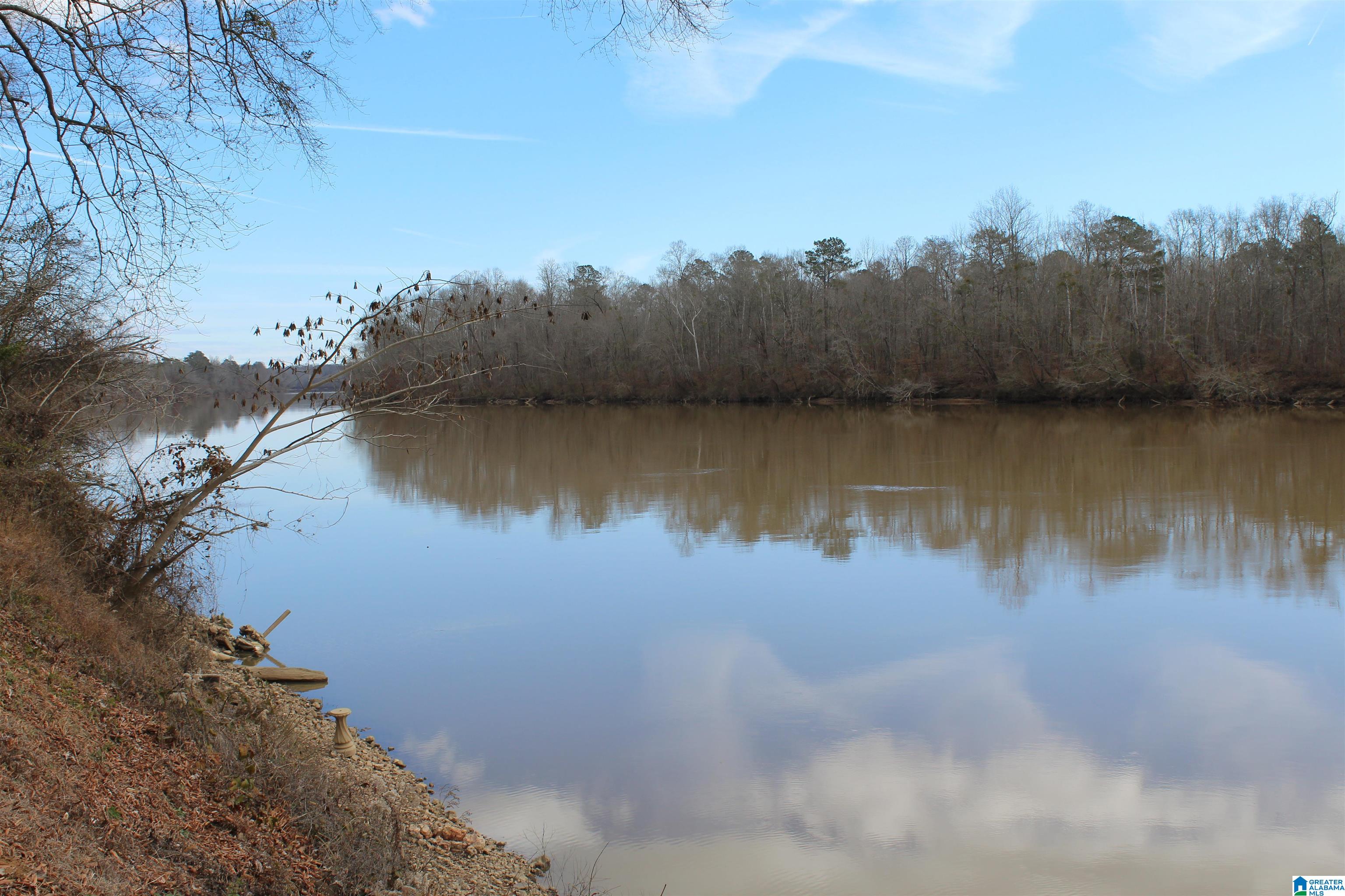 0 Cherokee Drive, Unit 403 02/1 Ragland, AL 35131 - Photo 1 of 9