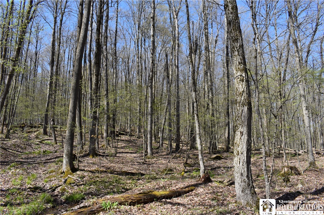 0 Fuller Gulf Road Cherry Creek, NY 14723 - Photo 17 of 25