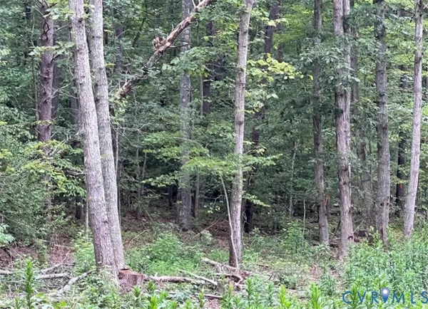 $38,000 | 0 Ware Road, Quinton, VA 23141