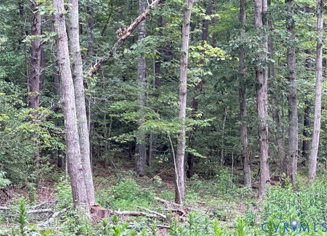 0 Ware Road Quinton, VA 23141 - Photo 1 of 2 View of woods