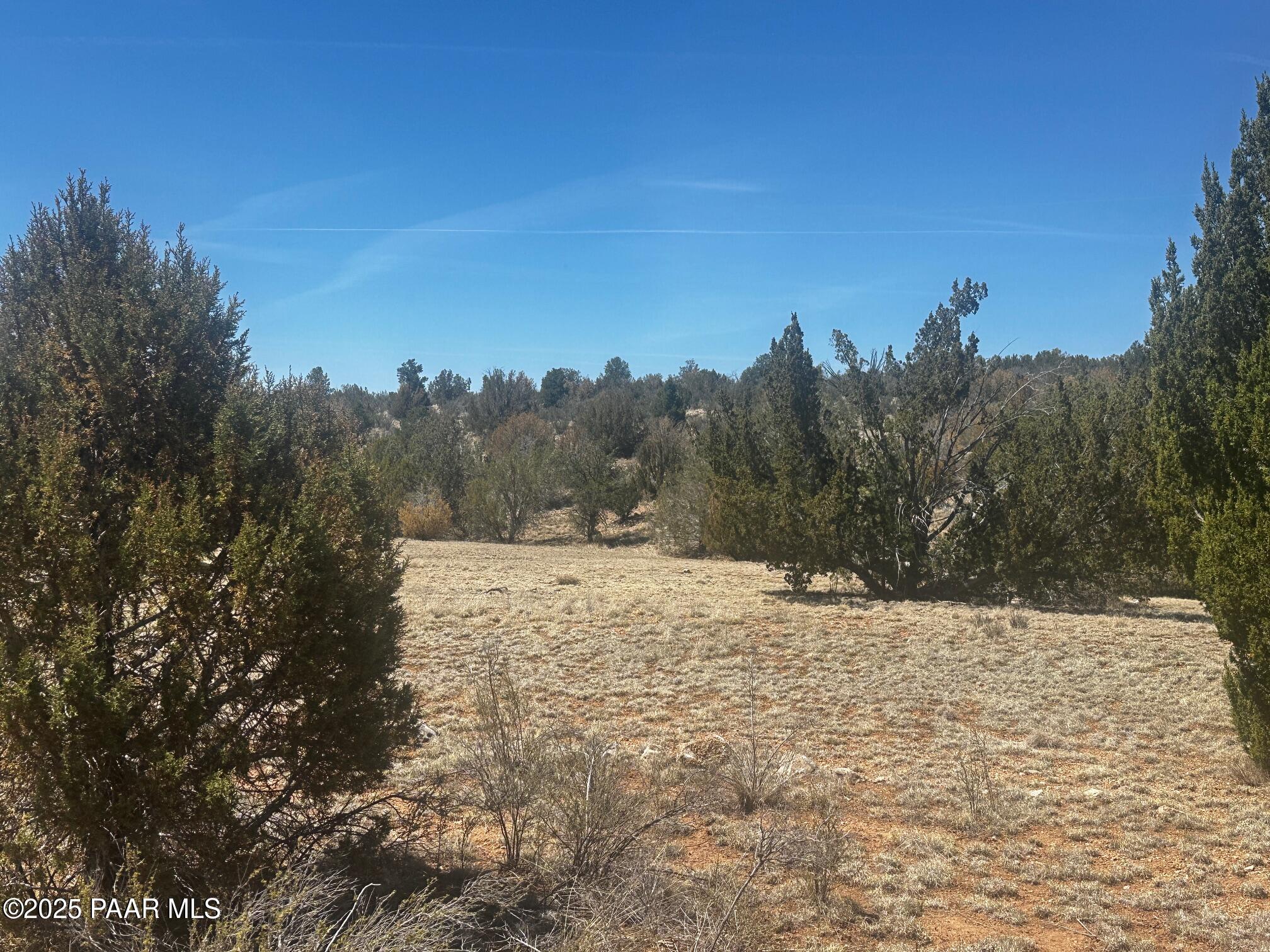 32412 Ancho Road Seligman, AZ 86337 - Photo 12 of 13 IMG_8891