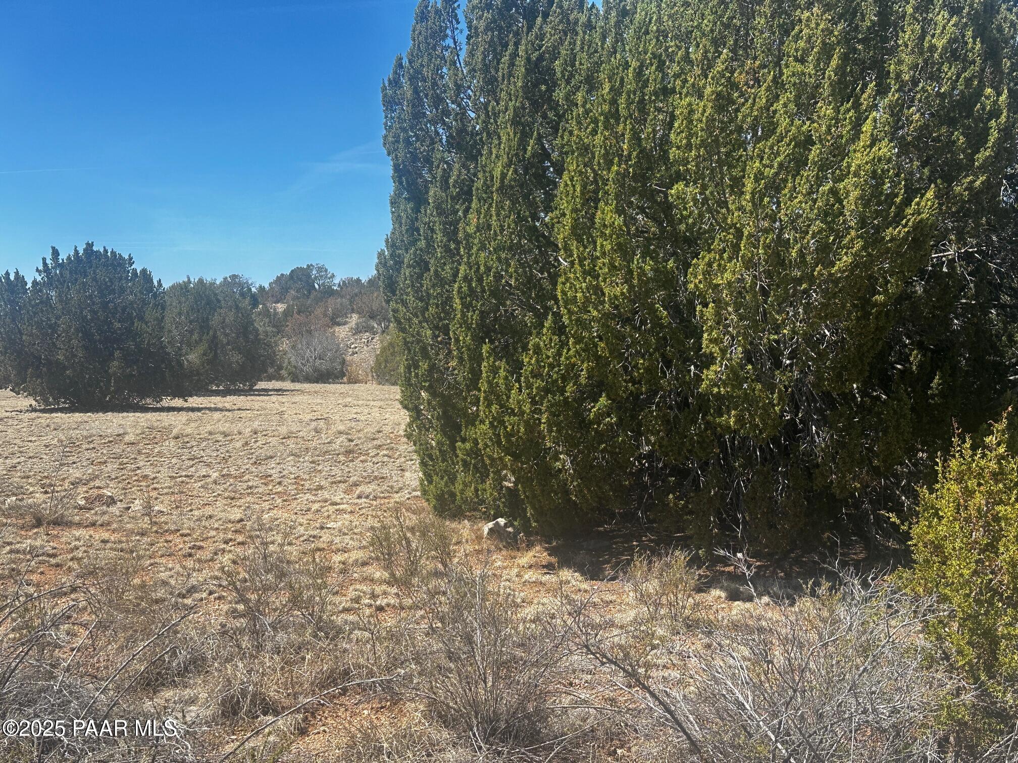32412 Ancho Road Seligman, AZ 86337 - Photo 13 of 13 IMG_8892