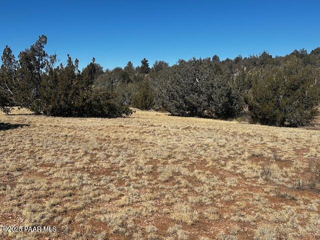 32412 Ancho Road Seligman, AZ 86337 - Photo 2 of 13 IMG_8402