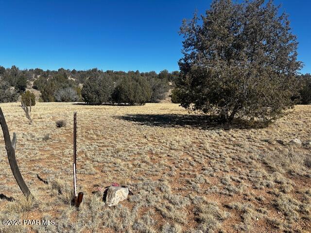 32412 Ancho Road Seligman, AZ 86337 - Photo 5 of 13 IMG_8405