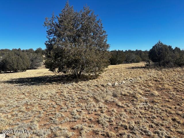 32412 Ancho Road Seligman, AZ 86337 - Photo 6 of 13 IMG_8406