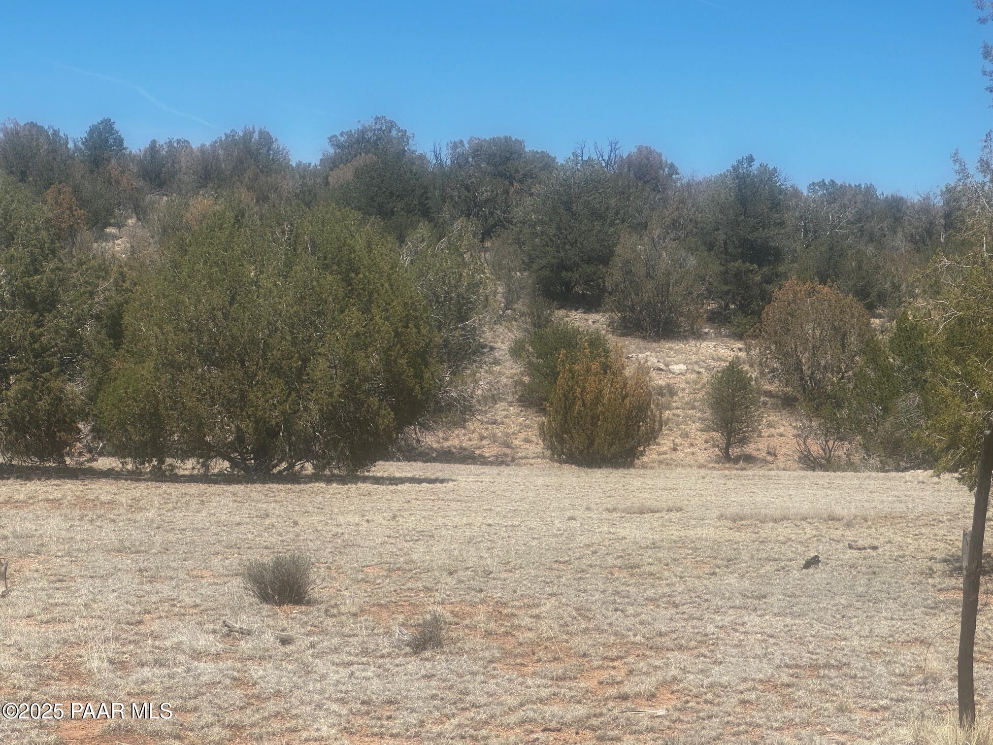32412 Ancho Road Seligman, AZ 86337 - Photo 7 of 13 IMG_8886